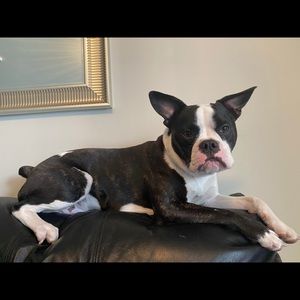 Meet your Posher, Abbrielle